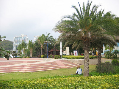 热带风景南部海岸棕榈图片