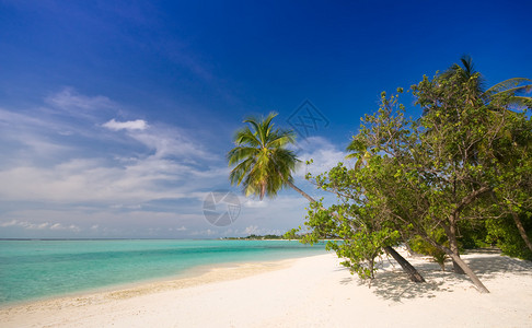 热带海滩图片