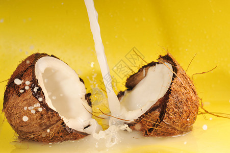 椰子与椰奶溅在黄色特写背景图片
