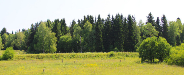 俄罗斯乌拉尔的绿色山谷图片