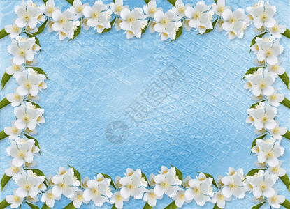 与樱花分支的蓝色抽象背景图片