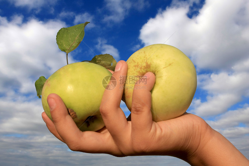 手里拿着两个苹果图片