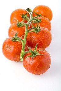 葡萄番茄图片