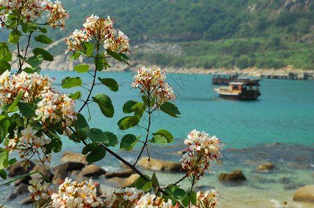 桂林阳朔风景图片