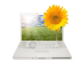 银式电脑笔记本电脑与黄色向日葵隔绝冲图片