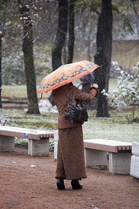 后背的女人在冬季公图片