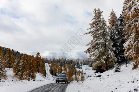雪天的山路俄罗斯阿尔泰图片