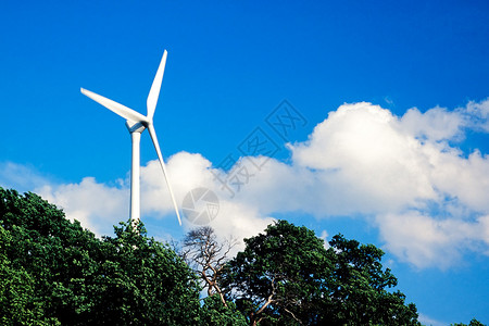 风力涡轮机从树顶升起升入蓝天云层稀少图片