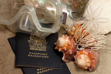 贴近护照潜水面具沙美元Echinaterm珊瑚海螺壳和鲍鱼背景图片