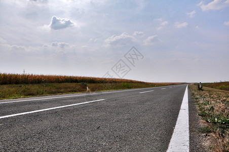 穿过田野的道路图片