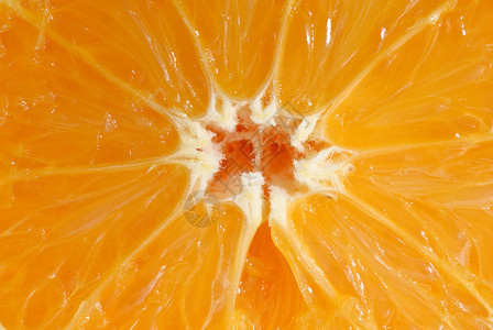 橙色天然多汁背图片