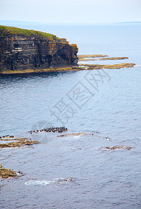 在苏格兰东北部的悬崖上以灰图片