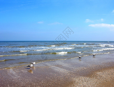 荷兰施韦宁根海滩Scheve背景图片