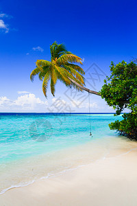 马尔代夫的热带天堂图片