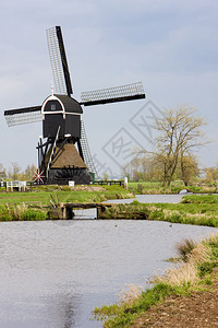 荷兰Steefker图片