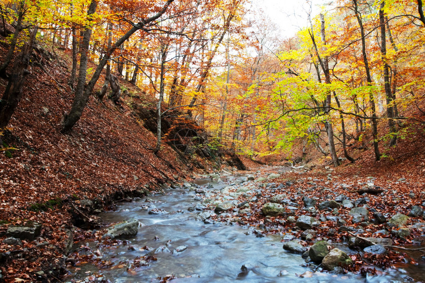 优胜美地山的秋天图片
