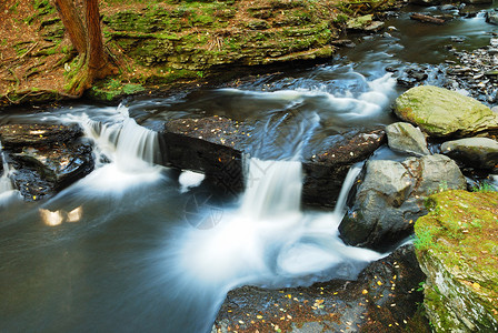 秋天树林里岩石上的溪流图片