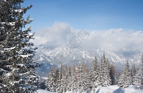 雪下山丘滑雪度假胜地Schladmi图片
