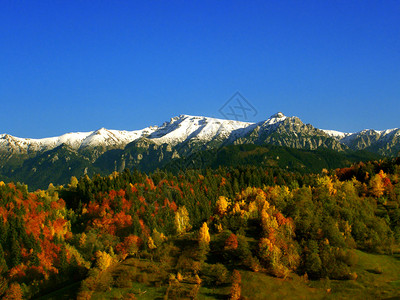 山中秋景图片