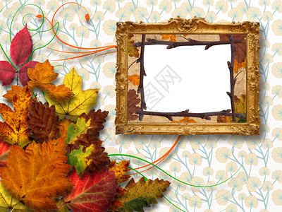 带框的秋叶图片