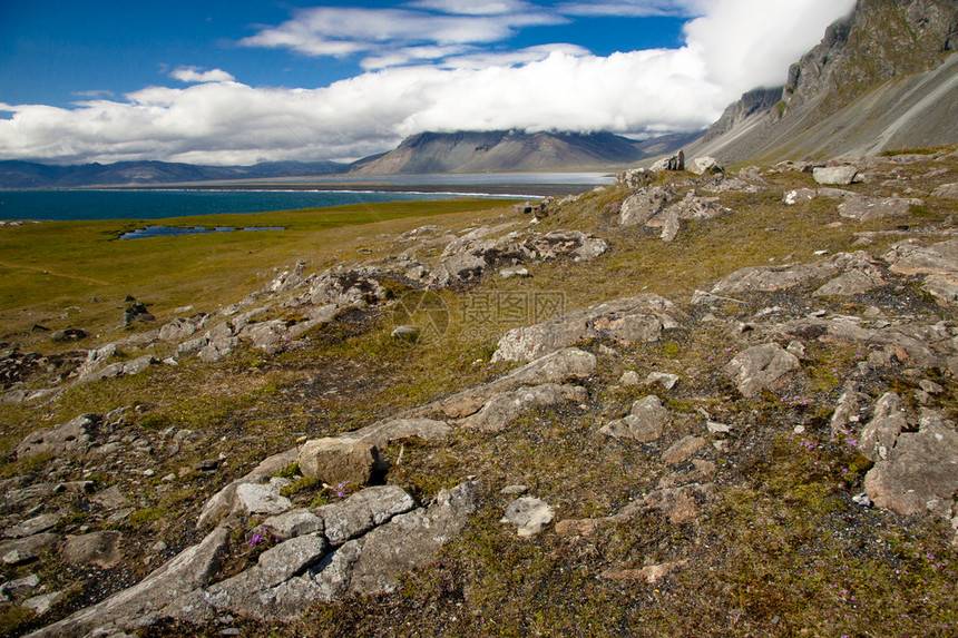 冰岛的美丽和岩石海岸图片