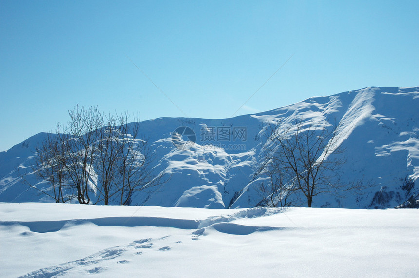 冬天雪下的高山图片