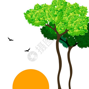 日出视图与树和飞鸟的插图图片