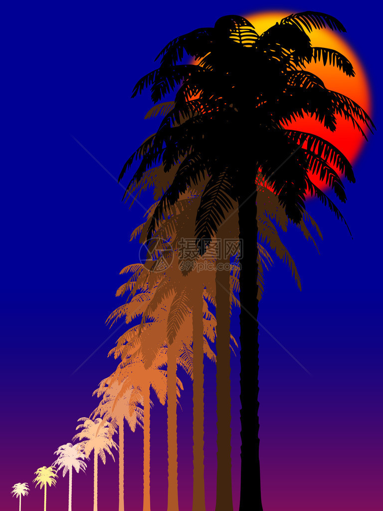 热带夜晚棕榈树的剪影图片