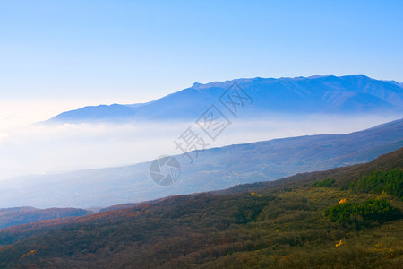 山谷中有雾的山景图片