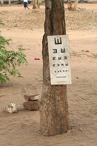 非洲树上的测试图背景图片