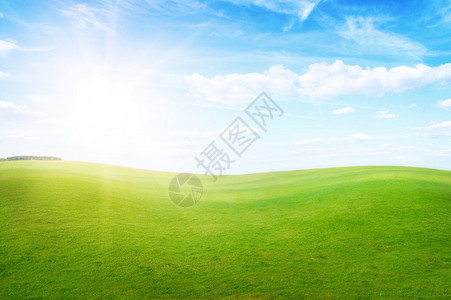 正午阳光下的绿色田野田园风光图片