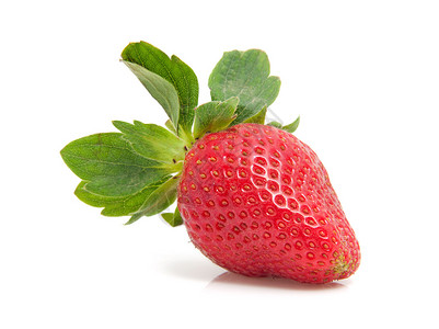 在白色背景的一个新鲜草莓图片