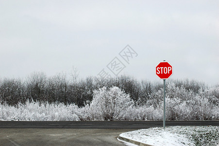 在冬天几乎黑白背景的红色路标停止图片