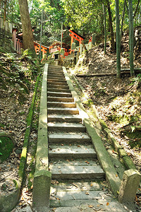 日本京都伊纳里神社Fushimi的WoodenTorii图片