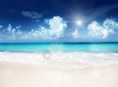 海滩加勒比海的沙子图片