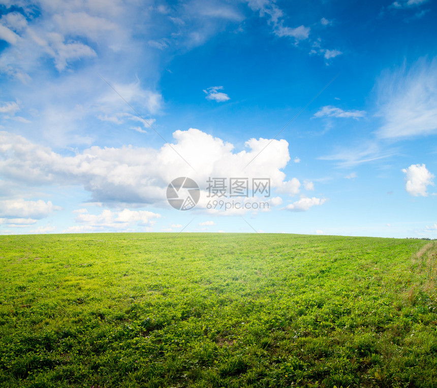 正午阳光下的绿地田园风光图片