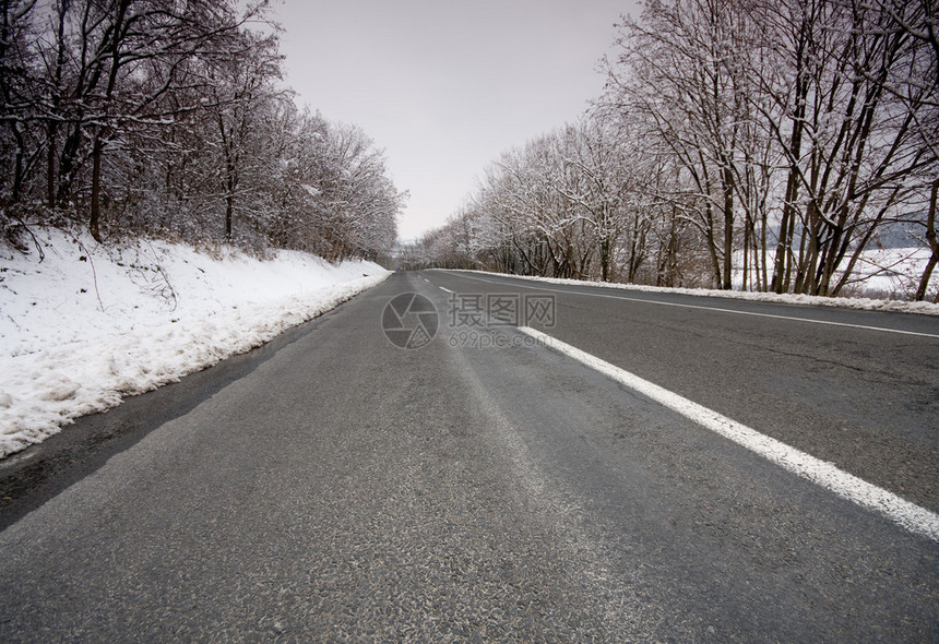 空荡的冬日道路与树木图片
