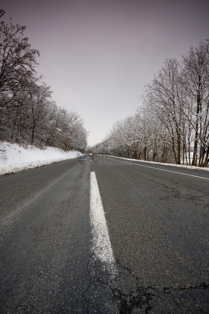 空荡的冬日道路与树木图片