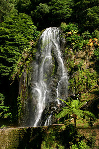 大瀑布绿色植物之间的大瀑布在zores图片