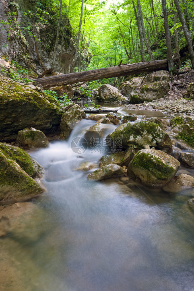 山间溪流在森林中的风景图片