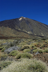 特纳里夫Tenerife图片