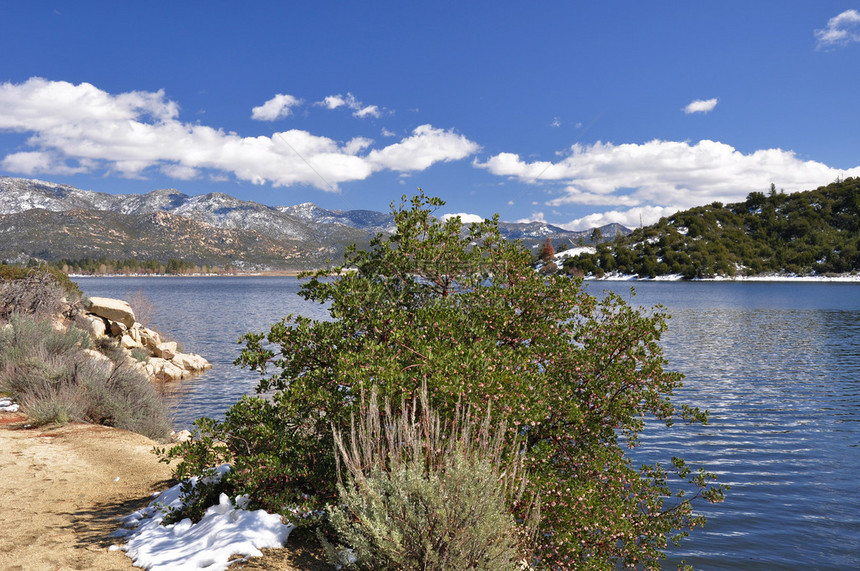 南加利福尼亚州赫米特湖的水边生图片