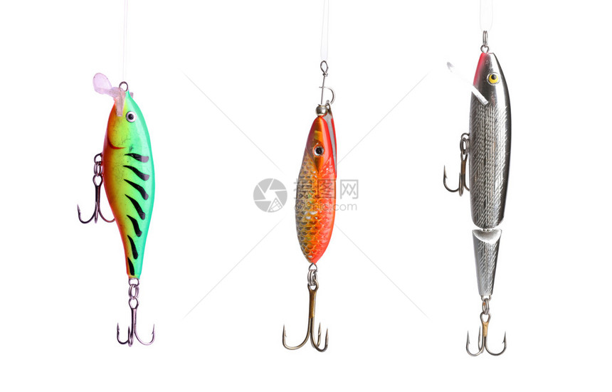 五条钓鱼诱饵挂在白色背景前图片
