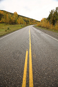 秋季铺砌道路的中心线图片