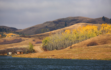 秋天的Reesor艾伯塔湖图片