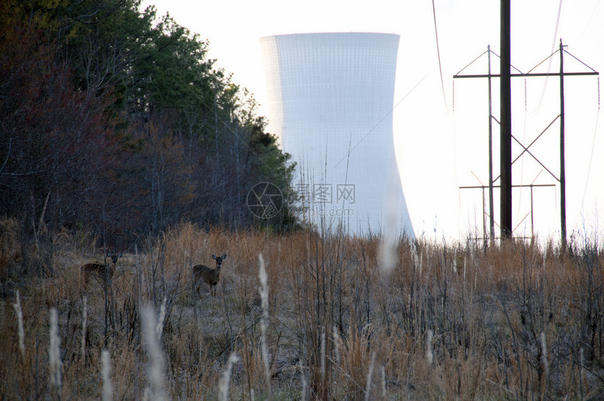 带有高压线的核电站视图图片