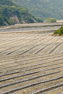 西瓜农场在Lanyang河Yilan亚洲的Lan图片