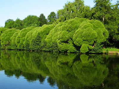 夏季水景湖的一部分图片