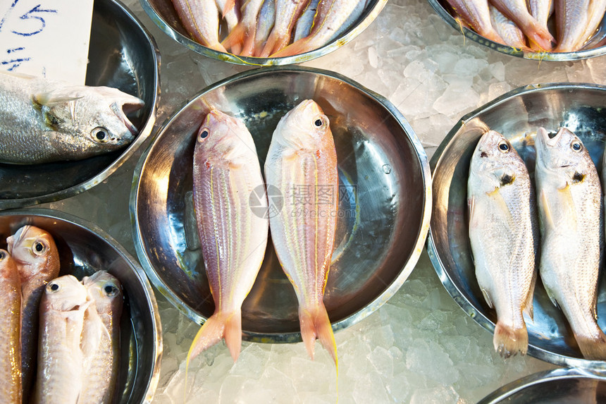 亚洲鱼市提供全鲜鱼图片