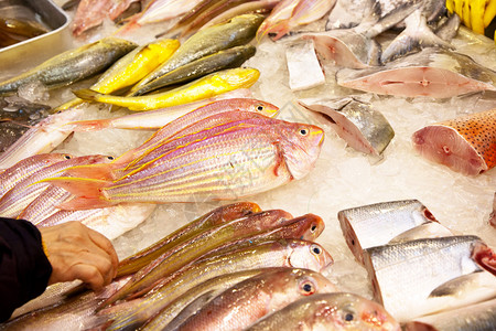 亚洲鱼市提供全鲜鱼背景图片